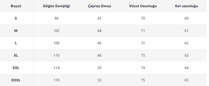 Erkek mavi dikey çizgili uzun kollu gömlek