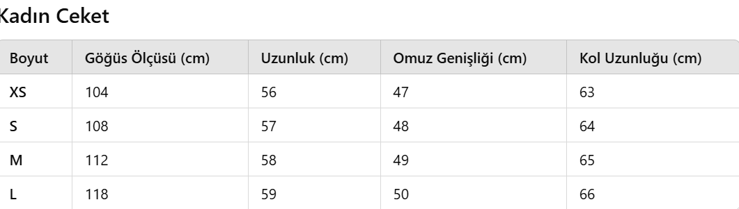 Leopar Rahat Ince Kısa Ceket + Yüksek Bel Yan Fermuar Ince Mini Etek